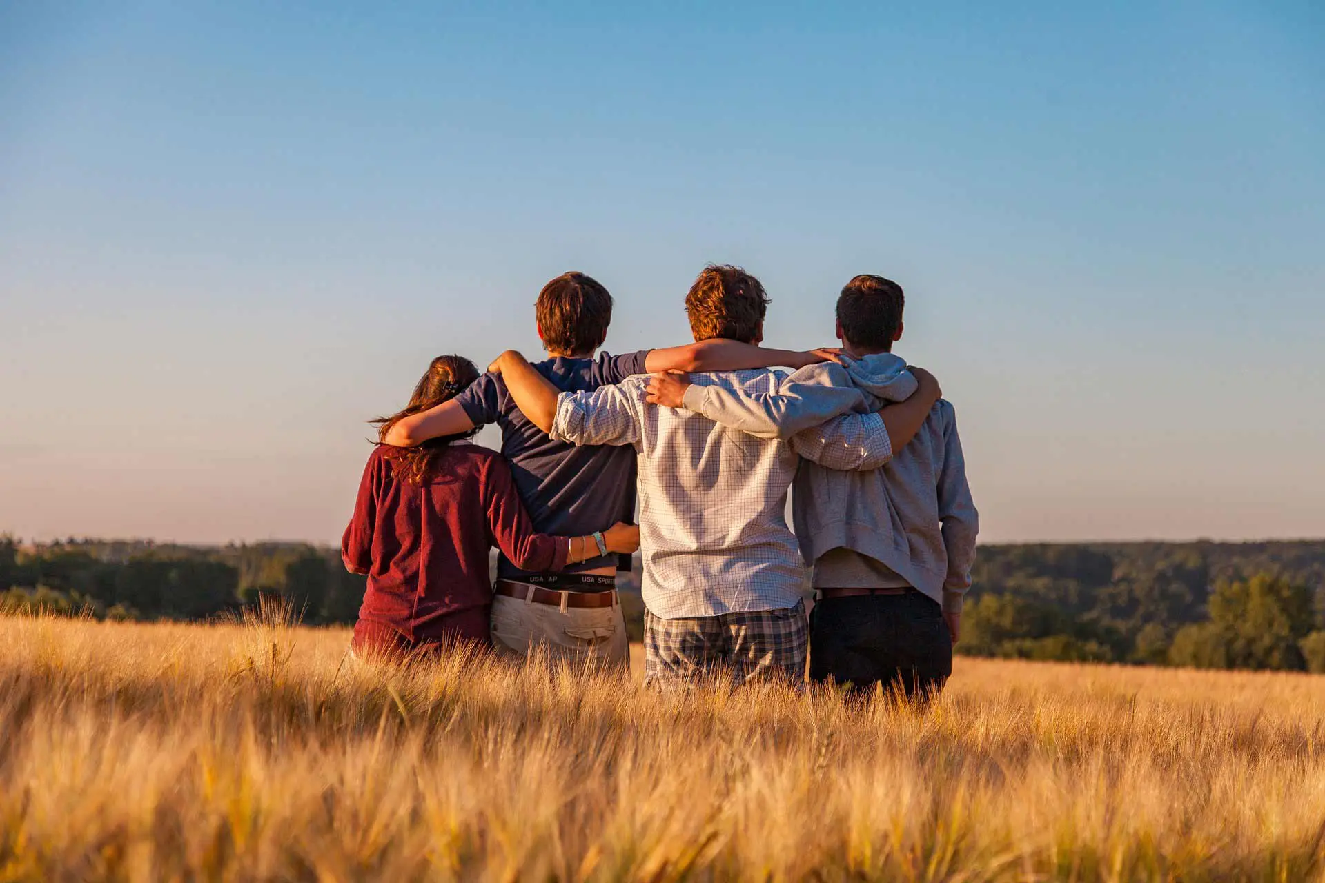 Nell'immagine, un gruppo di quattro ragazzi di spalle abbracciati in mezzo a un campo di grano.